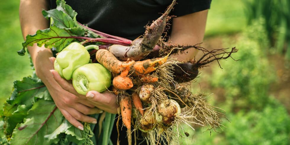 South Florida’s First Agrihood is Underway