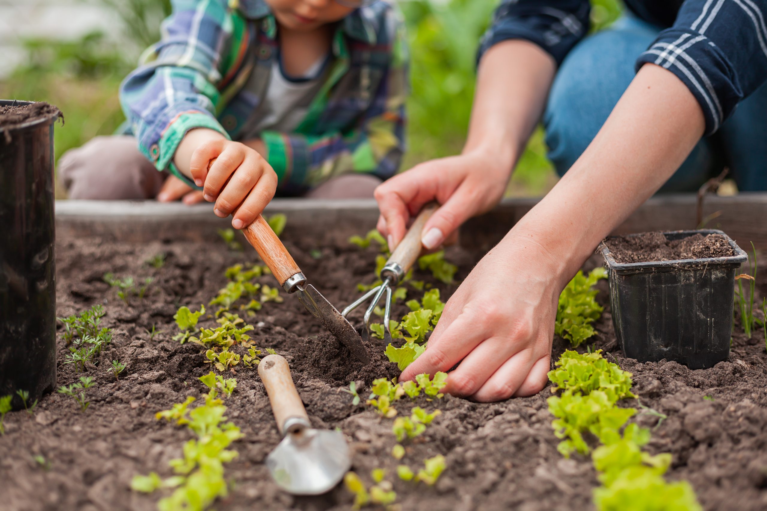 Around Wellington: 3 Ecotherapy Practices That Can Improve Your Mental Health